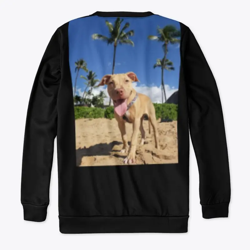 Nala Test Hoodie